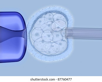 Extraction Of Embryonic Stem Cells