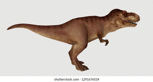 puma t rex