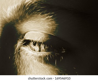 eye