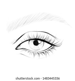 Printable Eye Makeup Chart | Makeupview.co