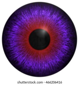 Eye iris generated hires texture
