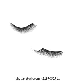 Eye Lashes Drawing In Illustration With White Background