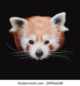 An Eye To Eye Oil Painting Style Portrait Of A Cute Red Panda, Isolated On Black Background. Ailurus Fulgens. Wild Beauty Of The Nature. Square Illustration.