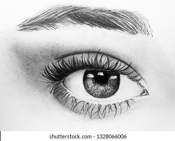 Eye Sketch Realistic Hand Draw Stock Illustration 1328066006 | Shutterstock