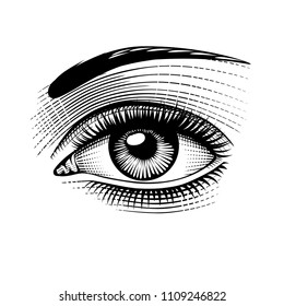 Eye Of Woman. Vintage Engraving Stylized Drawing