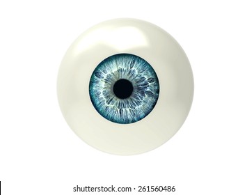 Eyeball Isolated On White Stock Illustration 261560486