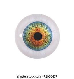 Eyeball Isolated On White Stock Illustration 72026437 | Shutterstock