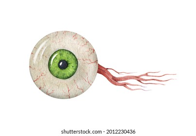 Eyeball With Optic Nerve. Watercolor Illustration. Green Iris Realistic Eye Human Element. Close Up Eye Ball With Ocular Nerve. Human Face Round 3d Detail. Face Anatomy Element On White Background