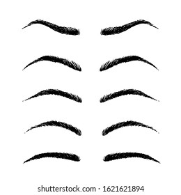 Eyebrows Shapes Set Five Basic Shapes Stock Illustration 1621621894 ...