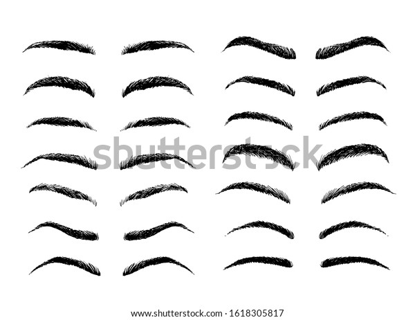 Eyebrows Shapes Set Sketch Collection Isolated Stock Illustration ...