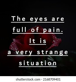 The Eyes Are Full Of Pain. It Is A Very Strange Situation 