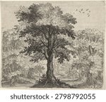 Fabel van de olm en de eik (1608) by Aegidius Sadeler II, Marcus Gheeraerts I, Marcus Gheeraerts I and Aegidius Sadeler II. Vintage nature art illustration.