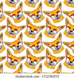 Face drawing of a fox. Pattern of fat foxes.