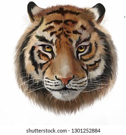 Face Of Tiger In Photoshop