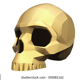 Faceted Skull