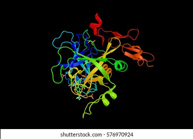 Factor VII, One Of The Proteins That Causes Blood To Clot In The Coagulation Cascade. It Is An Enzyme Of The Serine Protease Class. 3d Rendering.