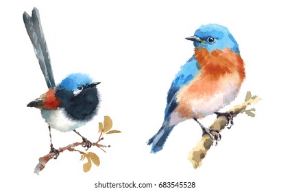 Bluebird Illustration Hd Stock Images Shutterstock