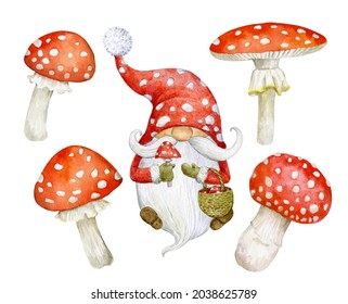 A fairy  tale character is dwarf and hat in the form fly agaric  Watercolor illustration  An elegant festive gnome in set and fly agaric mushrooms 