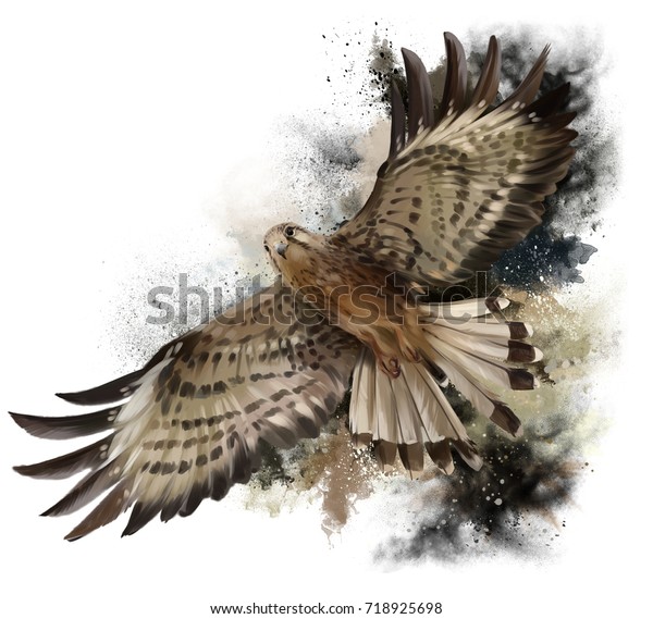 飛行水彩画の鷹 のイラスト素材