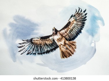 Falcon - Painting