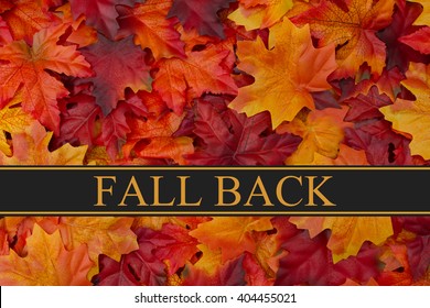 Fall Back Time Change Message, Fall Leaves Background And Text Fall Back