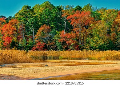 Fall Foliage, Beach Grass And Chesapeake Bay Shoreline View, Illustration 