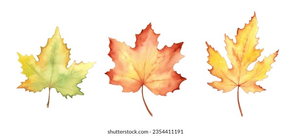 Fall leaves isolated on white background. Watercolor illustration.
 - Powered by Shutterstock