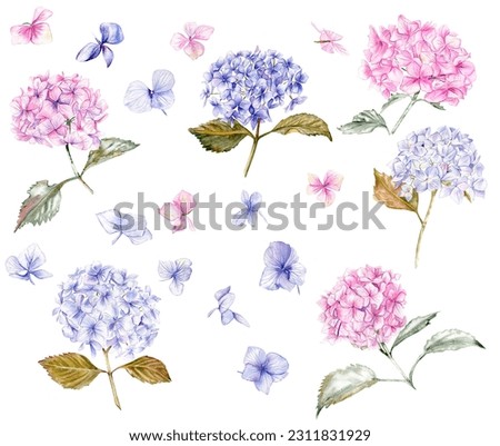Similar – Image, Stock Photo White ball hydrangea flowers