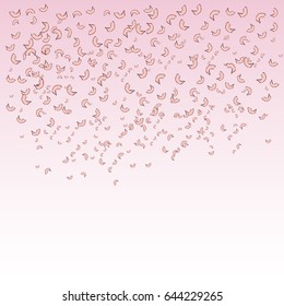 Falling, flying petals of roses, cherry blossoms, cherries, apricots, apple-trees. Whirlwind wedding background love