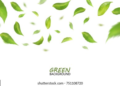 Falling Fresh Flying Green Leaves, Quality 3d Imitation. 