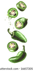 Falling Jalapeno green hot chili pepper. Hand drawn watercolor illustration, isolated on white background