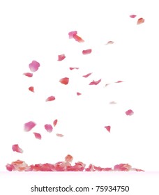 Falling Rose Petals. 3d Rendering Isolated On White Background.