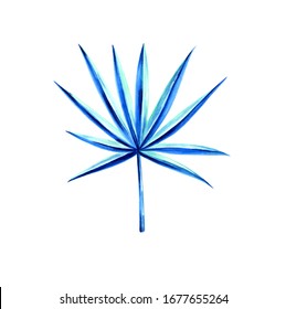 Fan palm, tropical leaf in blue tones. Illustration drawn with a marker, isolated on a white background, used in the design of postcards packaging and labels of cosmetics. Print on clothes.