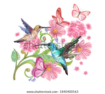 fancy decor element with pink flowers, flying hummingbirds and butterflies around. watercolor painting