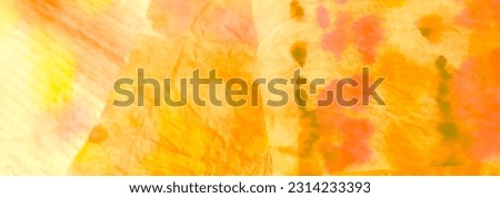 Fancy Dirty Art Painting. Abstract Splash. Watercolor Print. Aquarelle Texture. Splash Banner. Multicolor Wet Art Print. Yellow Tie Dye Batik. Brushed Banner. Tie Dye Grange. Orange