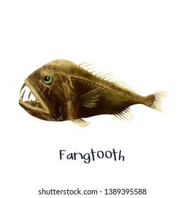 Fangtooth Fish Realistic Illustration Painting