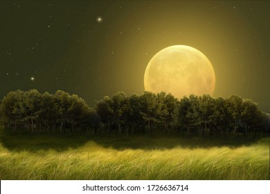 Fantastic night landscape of a field with trees on the horizon illuminated by a large full moon. Photo manipulation. Illustration 3D.