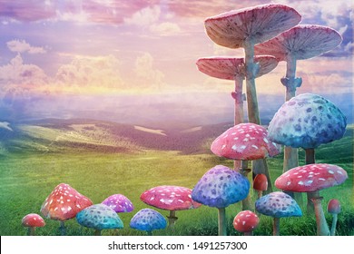 fantastic wonderland landscape and mushrooms 
illustration to the fairy tale 
