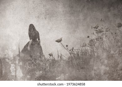 A Fantasy Concept Of A Ghostly Woman Wearing A Long Dress, Walking Through A Field Full Of Buttercup Flowers. With A Grunge, Vintage Edit.