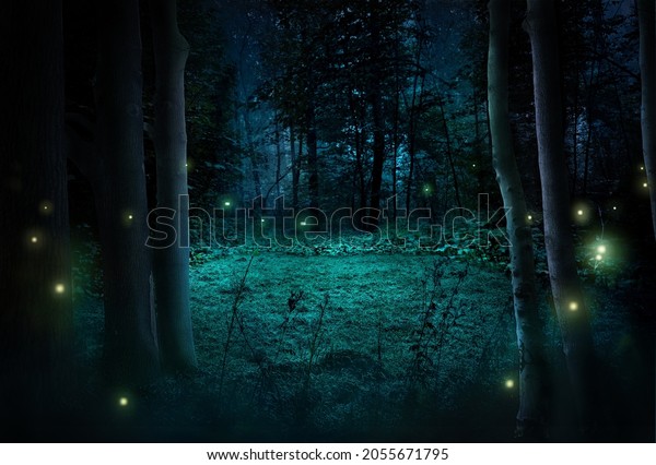 Fantasy\
night forest under moonlight. 3d\
illustration.