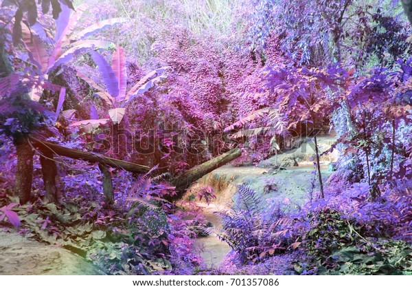 Download 73 Background Pink Forest HD Terbaik