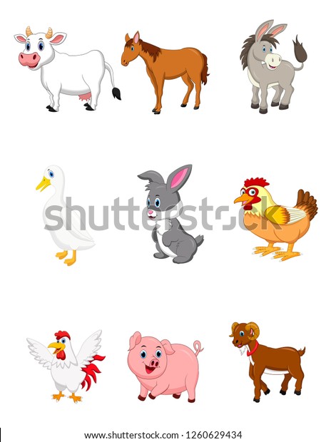 Farm Animal Collection Set On White Stock Illustration 1260629434 ...