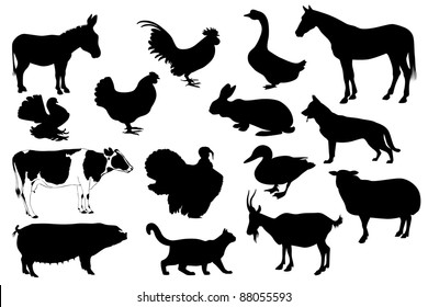 Hen Chicken Silhouette Set Stock Vector (Royalty Free) 751948783 ...