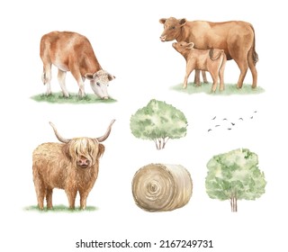 Farm Animals Clipart Set. Watercolor Cows Illustration Isolated On White Background. Cattle. For Prints, Postcards, Greeting Cards, Invitations, Summer Designs