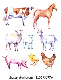 Farm animals. Cow, horse, sheep, goat. Watercolor illustration