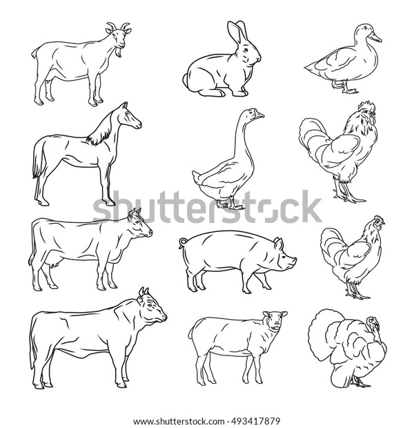 Farm Animals Vector Collection Cow Pig Stock Illustration 493417879 ...