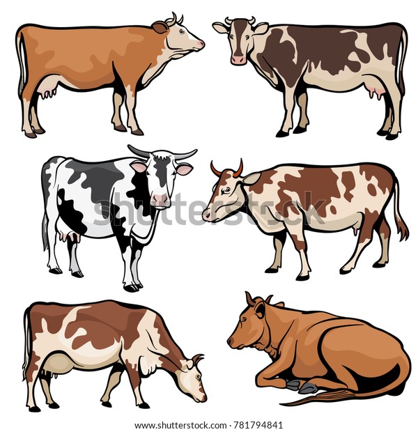 Farm Cows Dairy Cattle Cartoon Style Stock Illustration 781794841