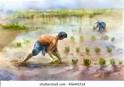 Farmer On The Rice Field For Watercolor On Paper.