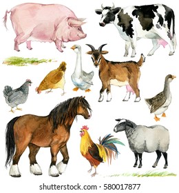 Farms Animal Set. Cute Domestic Pets Watercolor Illustration. Horse. Goose. Pig. Goat. Rooster. Chicken. Sheep. Cow