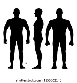 Human Body Silhouette Isolated Background Vector Stock Vector (royalty 